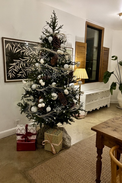 Coastal Christmas decor